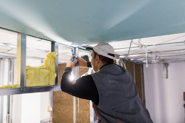 Best Types of Insulation in Llender, CA