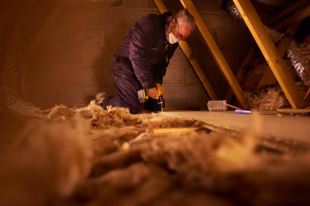 Best Insulation Installation Services in Llender, CA